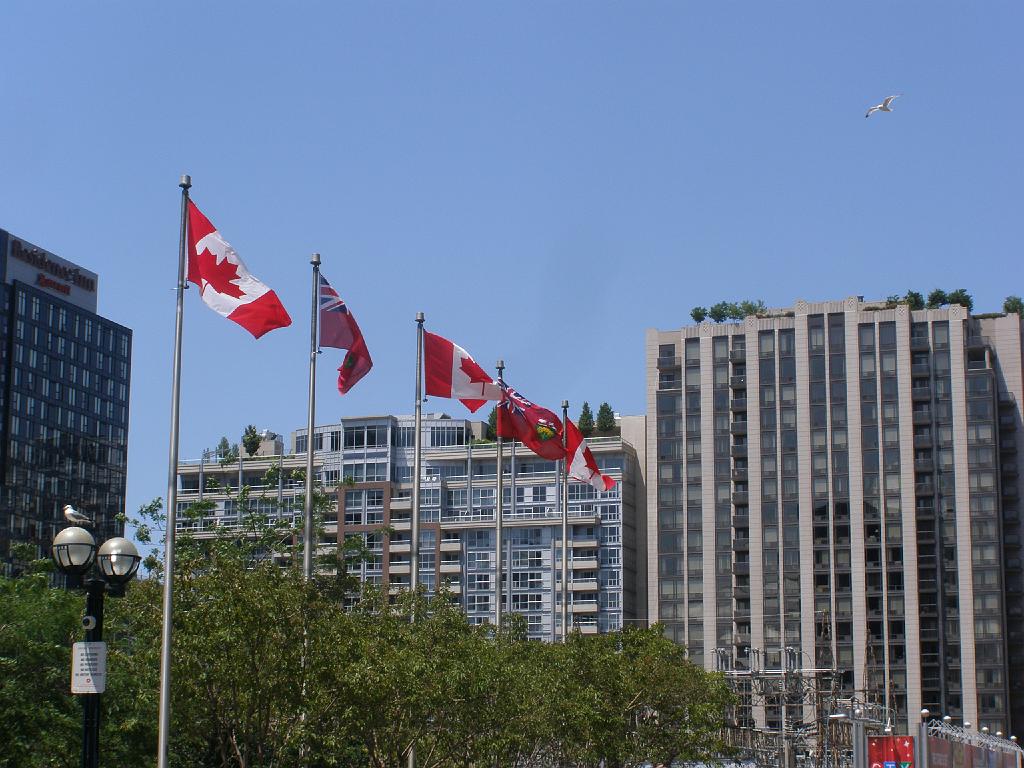 toronto (75).JPG